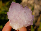 Natural Spirit Amethyst Crystals and Clusters x 12 From Boekenhouthoek, South Africa - Toprock Gemstones and Minerals 