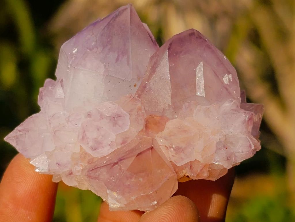 Natural Spirit Amethyst Crystals and Clusters x 12 From Boekenhouthoek, South Africa - Toprock Gemstones and Minerals 