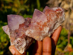 Natural Spirit Amethyst Crystals and Clusters x 12 From Boekenhouthoek, South Africa - Toprock Gemstones and Minerals 