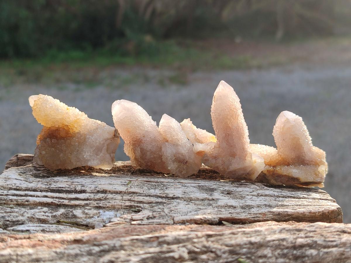 Natural Limonite Tinted Spirit Quartz Clusters x 24 From Boekenhouthoek, South Africa - Toprock Gemstones and Minerals 