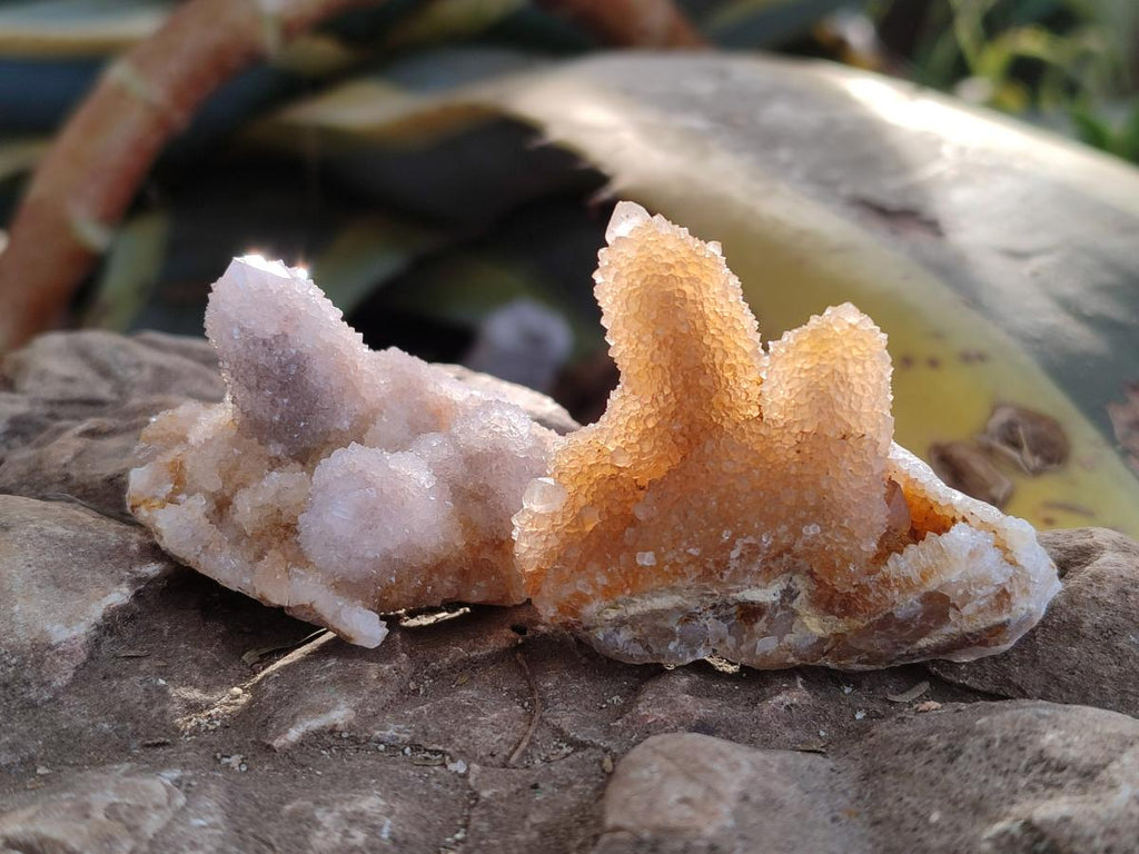 Natural Limonite Tinted Spirit Quartz Clusters x 24 From Boekenhouthoek, South Africa - Toprock Gemstones and Minerals 