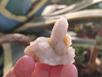 Natural Limonite Tinted Spirit Quartz Clusters x 24 From Boekenhouthoek, South Africa - Toprock Gemstones and Minerals 