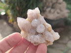 Natural Limonite Tinted Spirit Quartz Clusters x 24 From Boekenhouthoek, South Africa - Toprock Gemstones and Minerals 