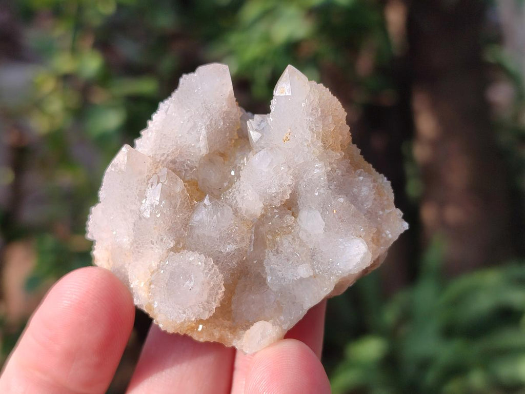 Natural Limonite Tinted Spirit Quartz Clusters x 24 From Boekenhouthoek, South Africa - Toprock Gemstones and Minerals 