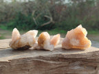 Natural Limonite Tinted Spirit Quartz Clusters x 24 From Boekenhouthoek, South Africa - Toprock Gemstones and Minerals 