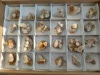 Natural Limonite Tinted Spirit Quartz Clusters x 24 From Boekenhouthoek, South Africa - Toprock Gemstones and Minerals 