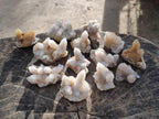 Natural Limonite Tinted Spirit Quartz Clusters x 24 From Boekenhouthoek, South Africa - Toprock Gemstones and Minerals 