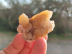 Natural Limonite Tinted Spirit Quartz Clusters x 24 From Boekenhouthoek, South Africa - Toprock Gemstones and Minerals 