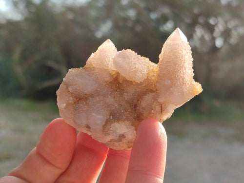 Natural Limonite Tinted Spirit Quartz Clusters x 24 From Boekenhouthoek, South Africa - Toprock Gemstones and Minerals 