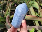Polished Large Blue Calcite Display Crystals x 6 From Madagascar - Toprock Gemstones and Minerals 