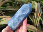 Polished Large Blue Calcite Display Crystals x 6 From Madagascar - Toprock Gemstones and Minerals 