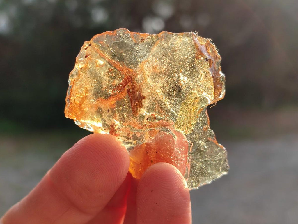Natural Copal Amber Specimens with Insect and Plant Inclusions x 24 From Lemur Island, Madagascar - Toprock Gemstones and Minerals 