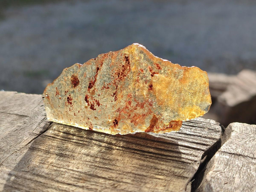 Natural Copal Amber Specimens with Insect and Plant Inclusions x 24 From Lemur Island, Madagascar - Toprock Gemstones and Minerals 