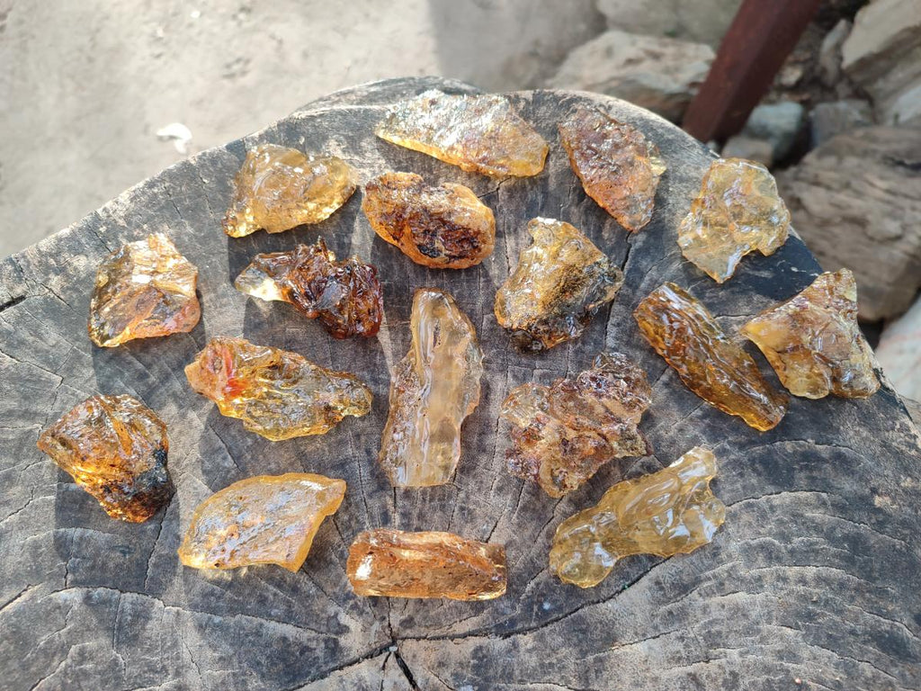 Natural Copal Amber Specimens with Insect and Plant Inclusions x 24 From Lemur Island, Madagascar - Toprock Gemstones and Minerals 