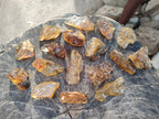 Natural Copal Amber Specimens with Insect and Plant Inclusions x 24 From Lemur Island, Madagascar - Toprock Gemstones and Minerals 