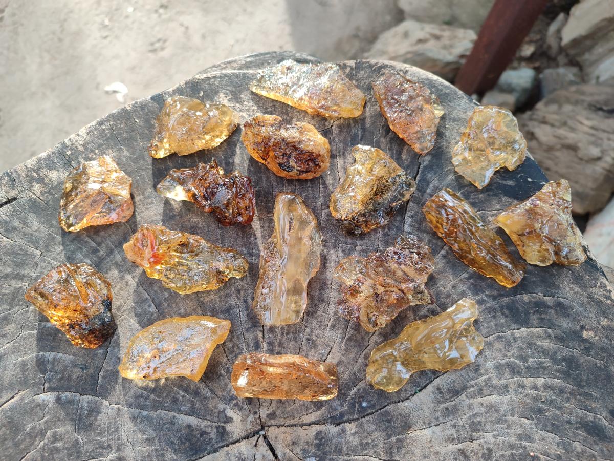 Natural Copal Amber Specimens with Insect and Plant Inclusions x 24 From Lemur Island, Madagascar - Toprock Gemstones and Minerals 