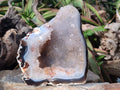 Polished Large Banded Agate with Crystalline Centre x 1 From Maintirano, Madagascar - Toprock Gemstones and Minerals 