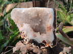 Polished Large Banded Agate with Crystalline Centre x 1 From Maintirano, Madagascar - Toprock Gemstones and Minerals 