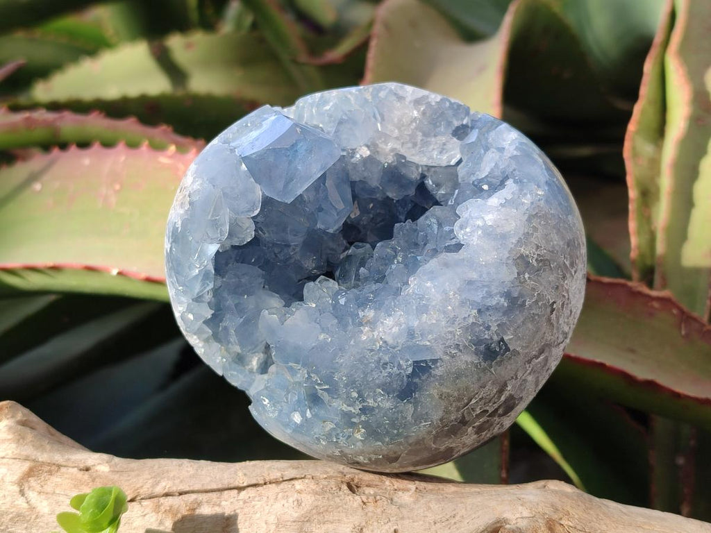 Polished Blue Celestite Spheres x 2 From Sakoany, Madagascar - Toprock Gemstones and Minerals 