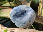Polished Blue Celestite Spheres x 2 From Sakoany, Madagascar - Toprock Gemstones and Minerals 