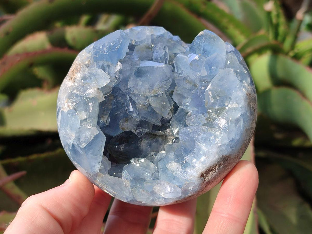 Polished Blue Celestite Spheres x 2 From Sakoany, Madagascar - Toprock Gemstones and Minerals 