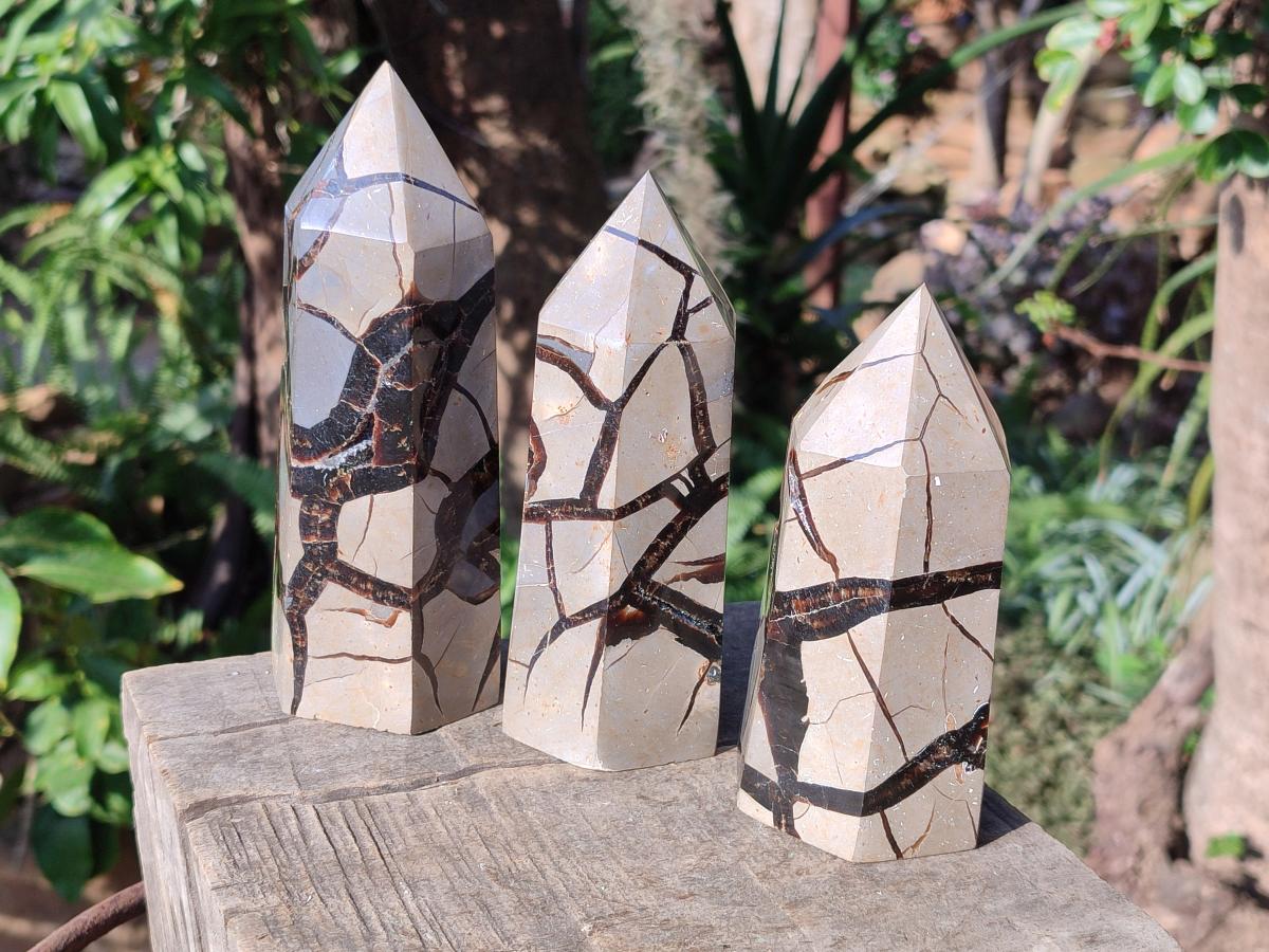 Polished Septerye Sauvage Display Crystals x 3 From Mahajanga, Madagascar - Toprock Gemstones and Minerals 