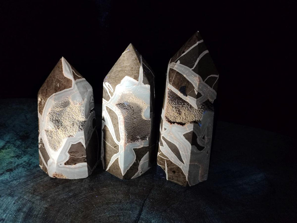 Polished Septerye Sauvage Display Crystals x 3 From Mahajanga, Madagascar - Toprock Gemstones and Minerals 