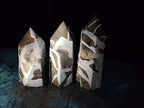 Polished Septerye Sauvage Display Crystals x 3 From Mahajanga, Madagascar - Toprock Gemstones and Minerals 