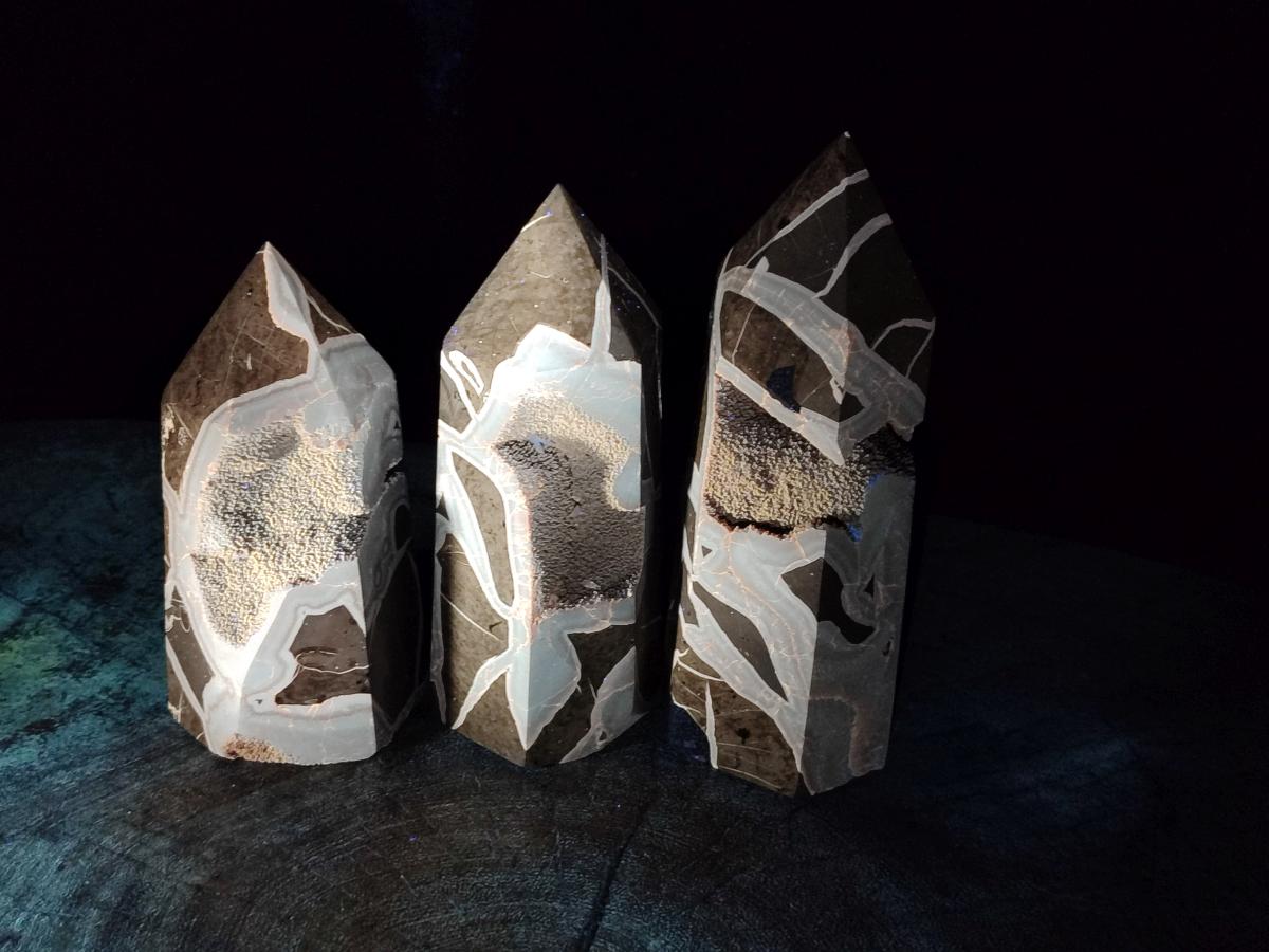 Polished Septerye Sauvage Display Crystals x 3 From Mahajanga, Madagascar - Toprock Gemstones and Minerals 