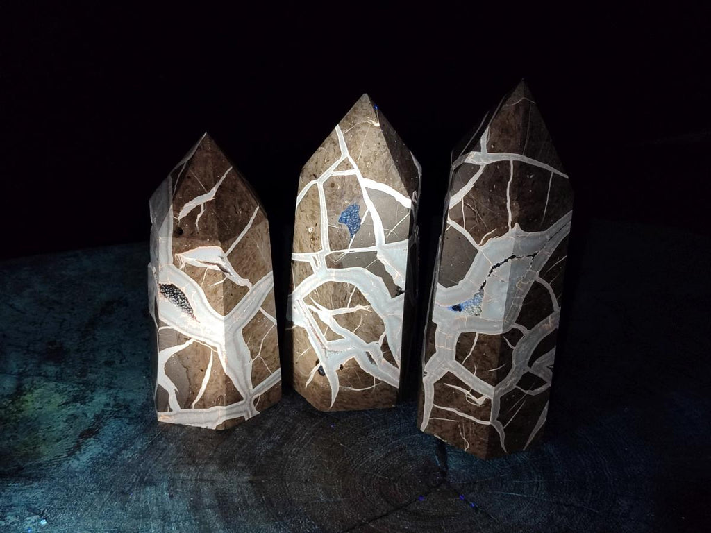 Polished Septerye Sauvage Display Crystals x 3 From Mahajanga, Madagascar - Toprock Gemstones and Minerals 