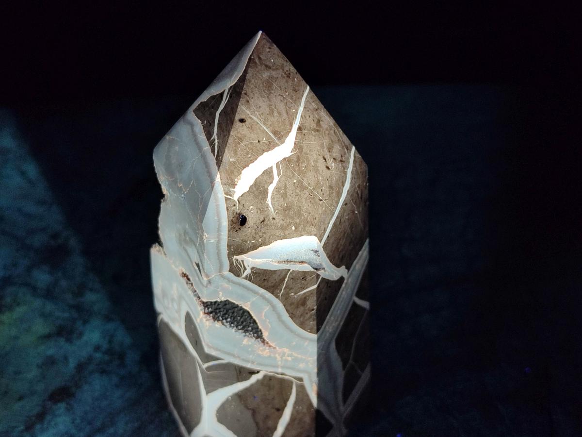 Polished Septerye Sauvage Display Crystals x 3 From Mahajanga, Madagascar - Toprock Gemstones and Minerals 
