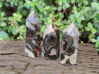 Polished Septerye Sauvage Display Crystals x 3 From Mahajanga, Madagascar - Toprock Gemstones and Minerals 