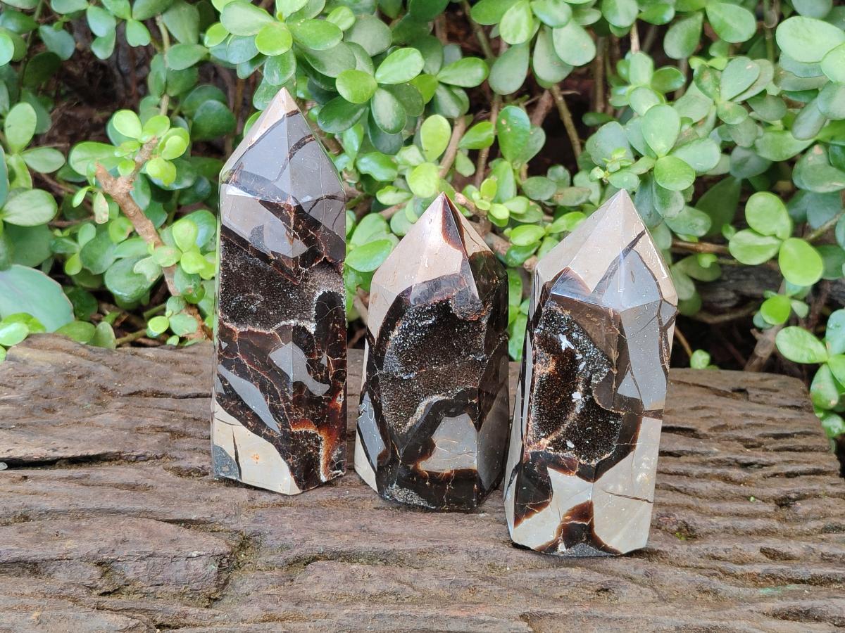Polished Septerye Sauvage Display Crystals x 3 From Mahajanga, Madagascar - Toprock Gemstones and Minerals 