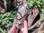Polished Septerye Sauvage Display Crystals x 3 From Mahajanga, Madagascar - Toprock Gemstones and Minerals 