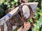Polished Septerye Sauvage Display Crystals x 3 From Mahajanga, Madagascar - Toprock Gemstones and Minerals 
