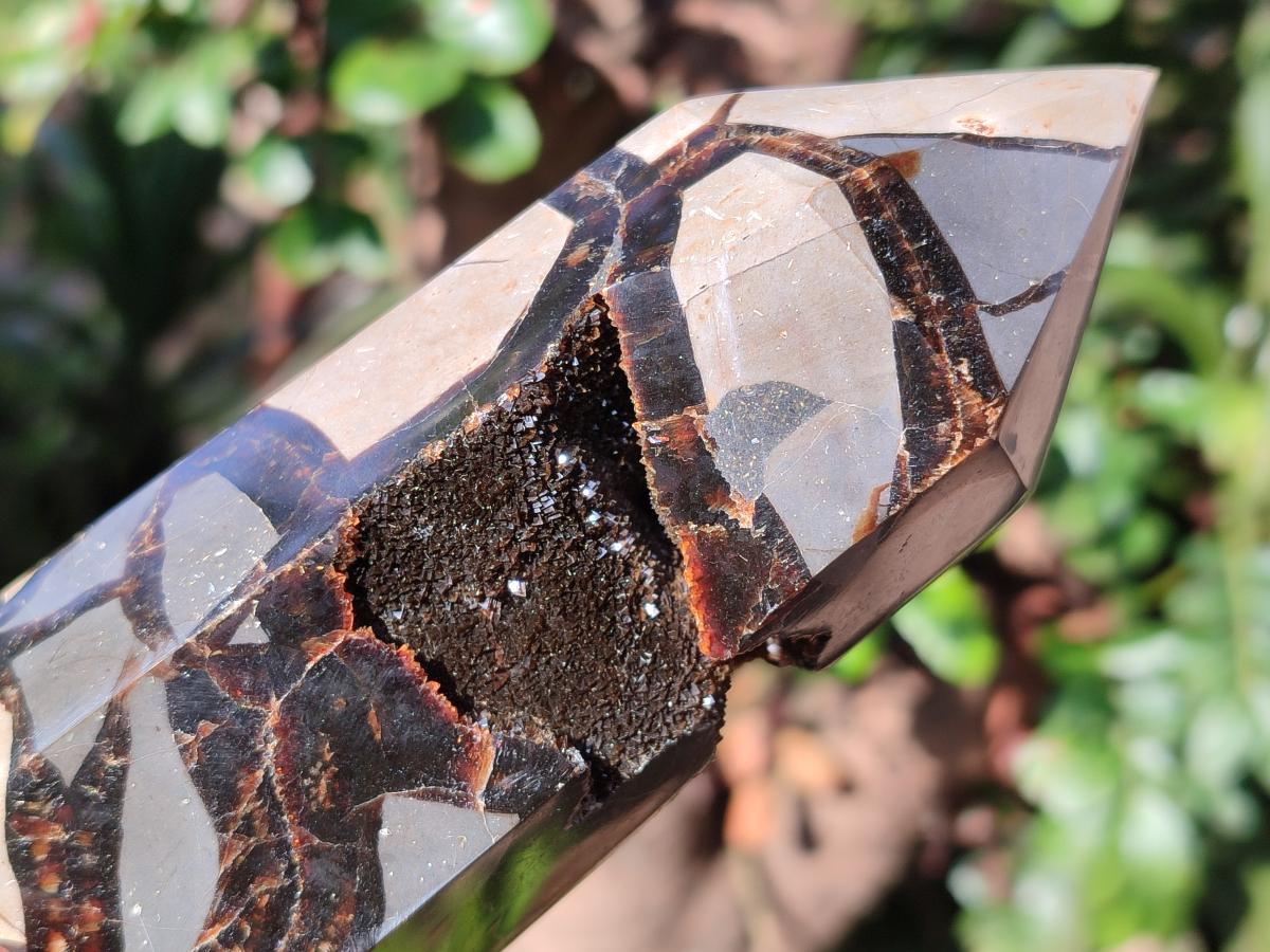 Polished Septerye Sauvage Display Crystals x 3 From Mahajanga, Madagascar - Toprock Gemstones and Minerals 