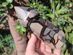 Polished Septerye Sauvage Display Crystals x 3 From Mahajanga, Madagascar - Toprock Gemstones and Minerals 