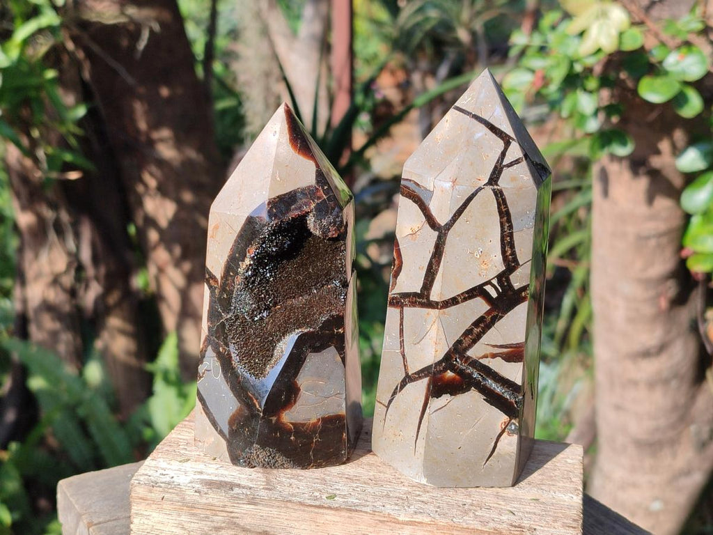 Polished Septerye Sauvage Display Crystals x 3 From Mahajanga, Madagascar - Toprock Gemstones and Minerals 