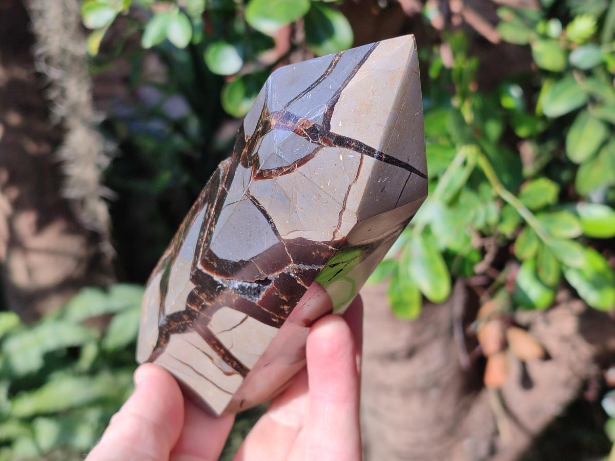 Polished Septerye Sauvage Display Crystals x 3 From Mahajanga, Madagascar - Toprock Gemstones and Minerals 