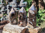 Polished Septerye Sauvage Display Crystals x 3 From Mahajanga, Madagascar - Toprock Gemstones and Minerals 