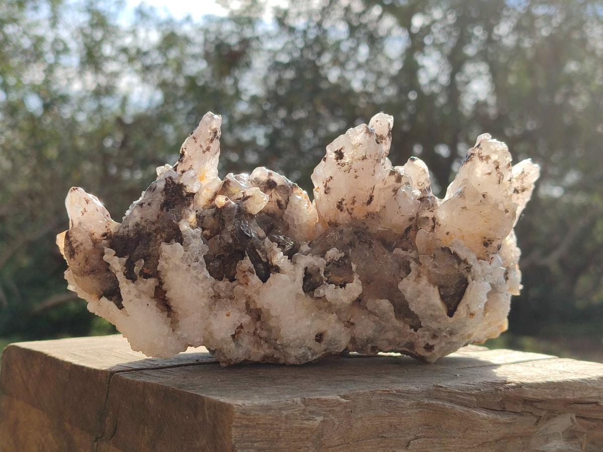 Natural Drusy Quartz Coated Calcite Cluster Specimens x 2 From Albert's Mountain, Lesotho - Toprock Gemstones and Minerals 