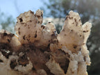 Natural Drusy Quartz Coated Calcite Cluster Specimens x 2 From Albert's Mountain, Lesotho - Toprock Gemstones and Minerals 