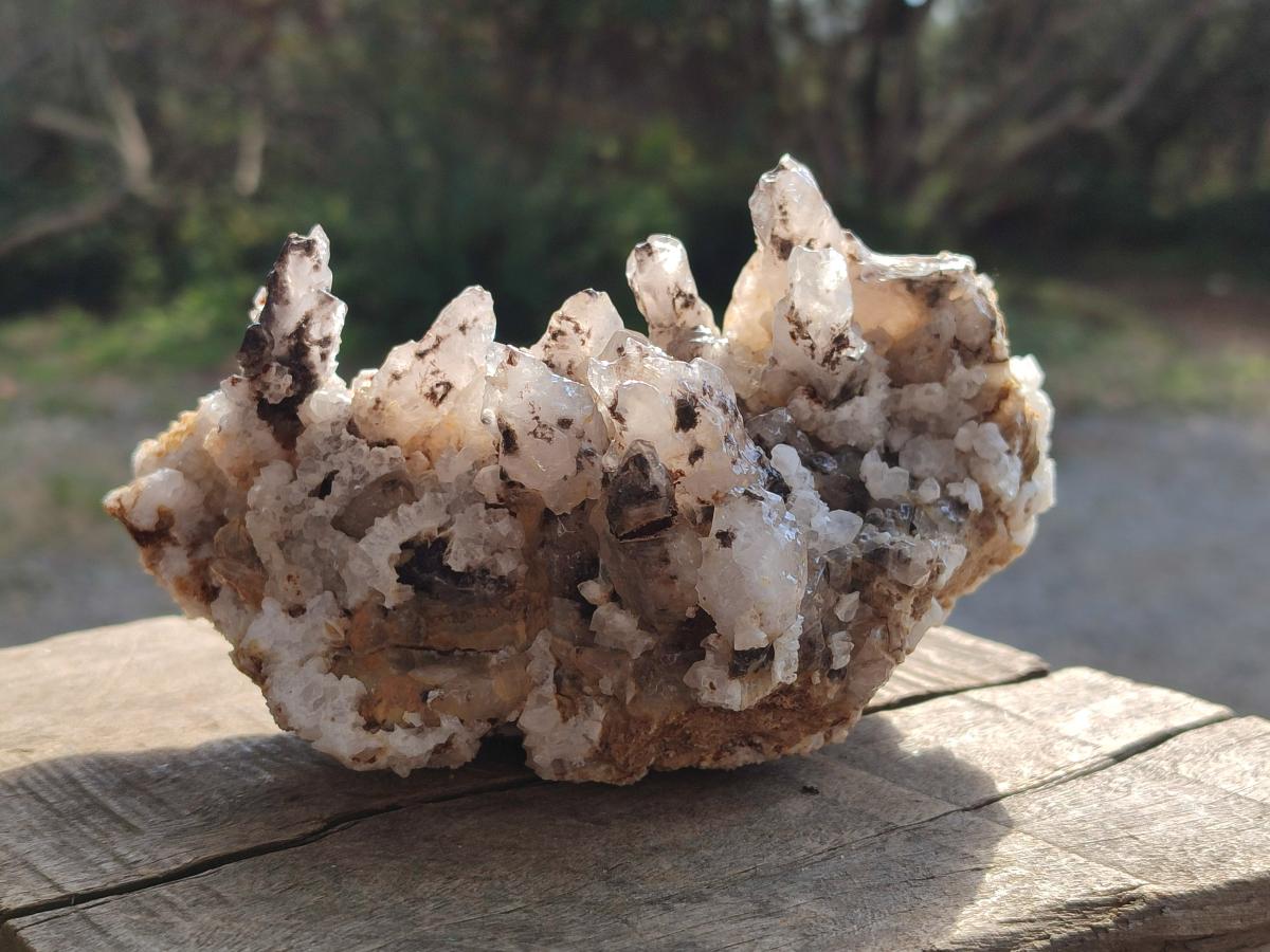 Natural Drusy Quartz Coated Calcite Cluster Specimens x 2 From Albert's Mountain, Lesotho - Toprock Gemstones and Minerals 