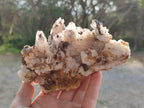 Natural Drusy Quartz Coated Calcite Cluster Specimens x 2 From Albert's Mountain, Lesotho - Toprock Gemstones and Minerals 