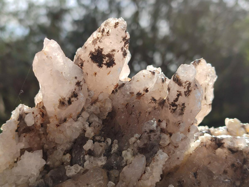 Natural Drusy Quartz Coated Calcite Cluster Specimens x 2 From Albert's Mountain, Lesotho - Toprock Gemstones and Minerals 