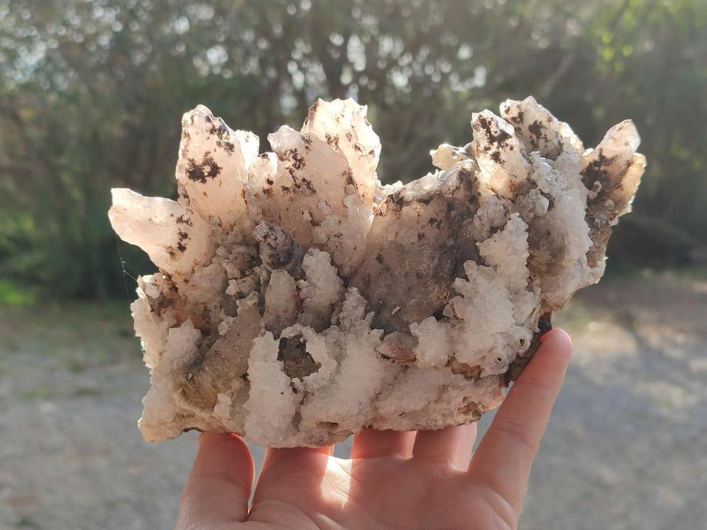Natural Drusy Quartz Coated Calcite Cluster Specimens x 2 From Albert's Mountain, Lesotho - Toprock Gemstones and Minerals 