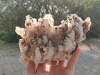 Natural Drusy Quartz Coated Calcite Cluster Specimens x 2 From Albert's Mountain, Lesotho - Toprock Gemstones and Minerals 