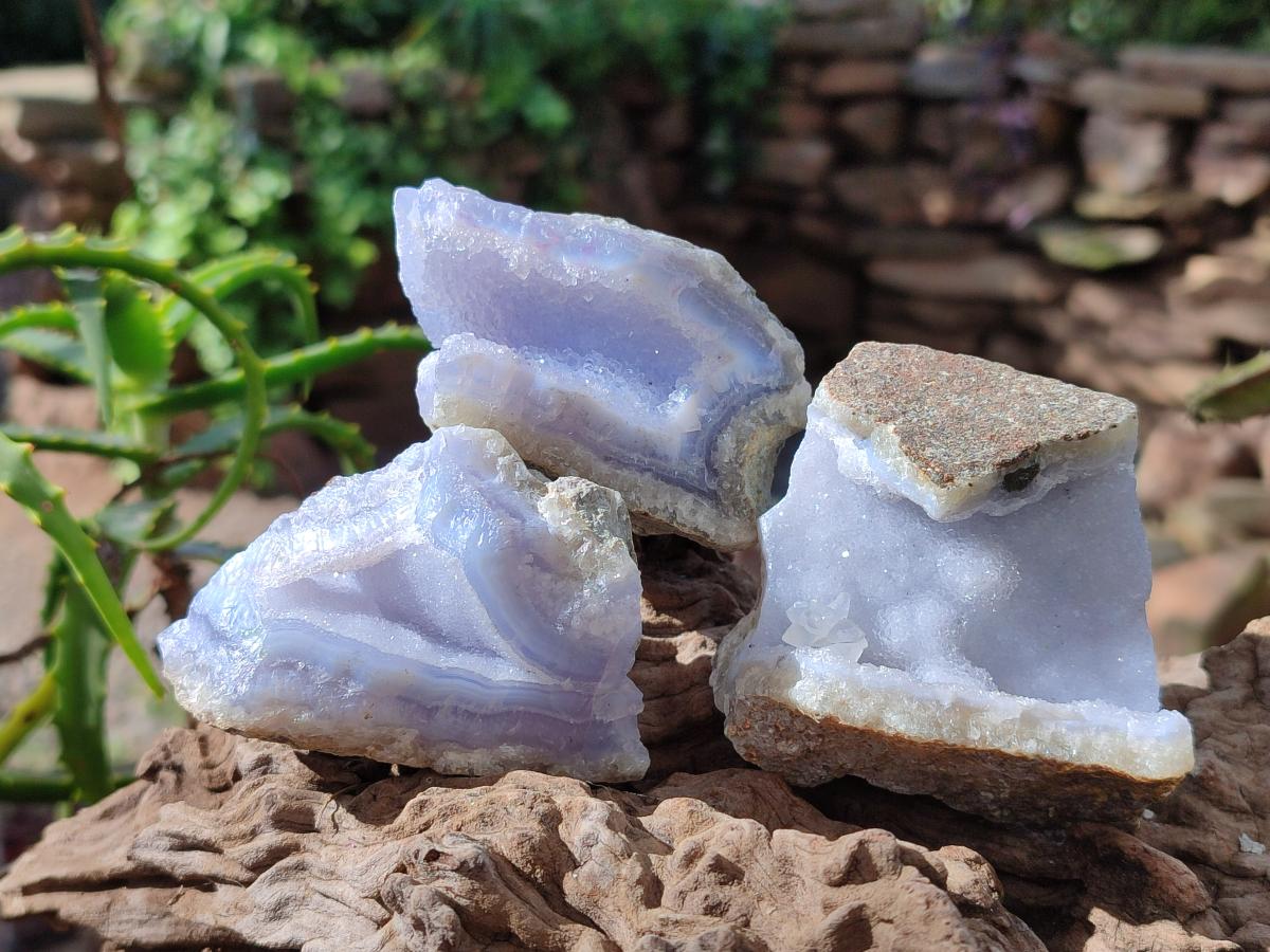 Natural Blue Lace Agate Geode Specimens x 12 From Nsanje, Malawi - Toprock Gemstones and Minerals 