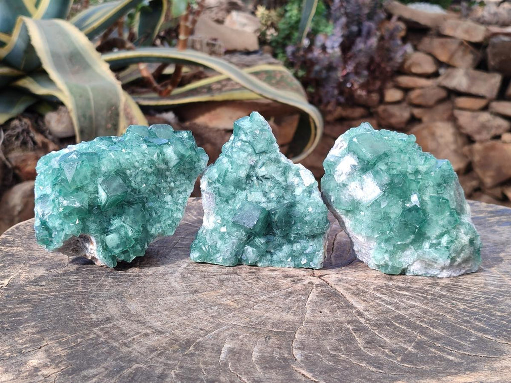 Natural Green Cubic Fluorite Specimens x 3 From Mandrosonoro, Madagascar - Toprock Gemstones and Minerals 