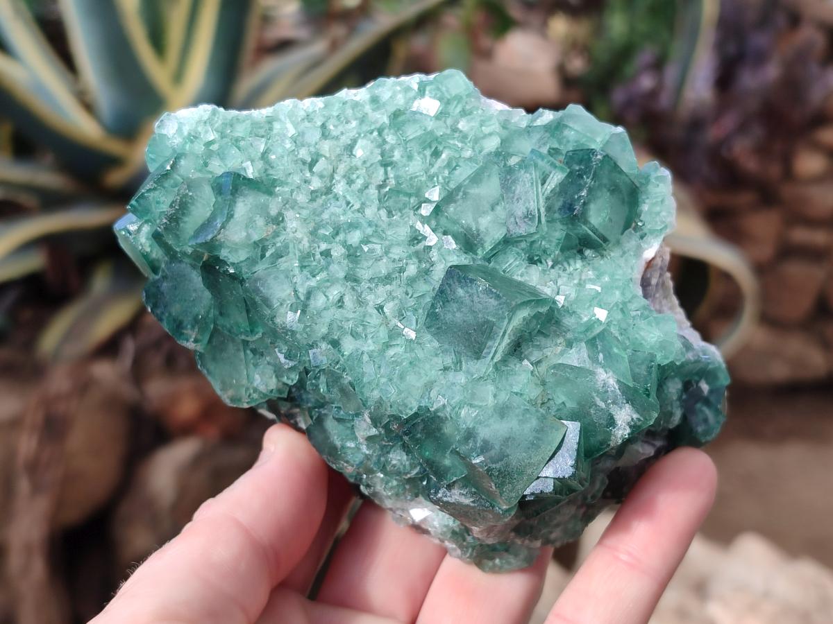 Natural Green Cubic Fluorite Specimens x 3 From Mandrosonoro, Madagascar - Toprock Gemstones and Minerals 
